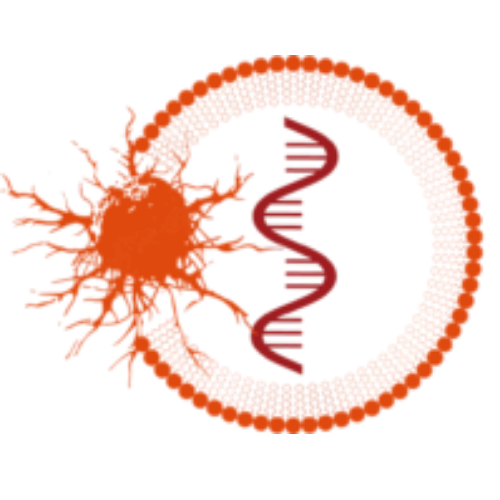 Personalized Cancer Vaccines Summit