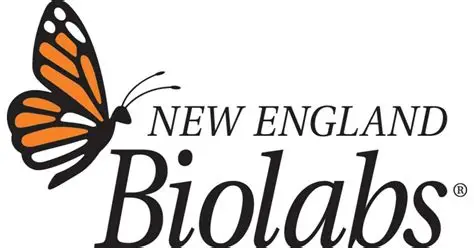 New England Biolabs