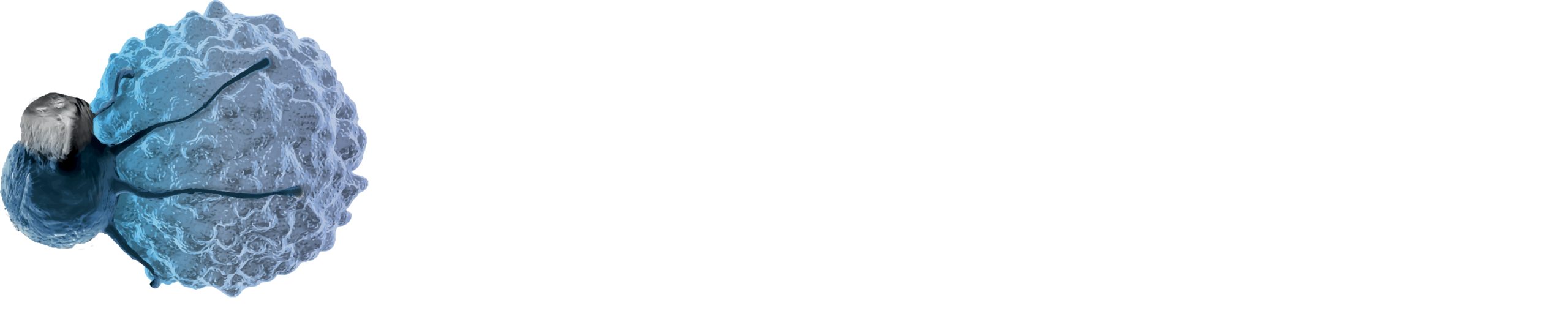 9th International Neoantigen Summit logo